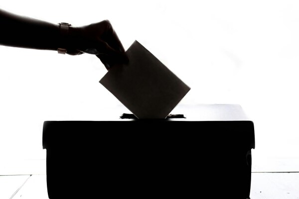 Stealing elections